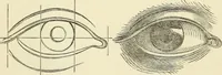 An illustration from Art recreations : being a complete guide to pencil drawing, oil painting ... moss work, papier mache...wax work, shell work...enamel painting, etc. (1871)