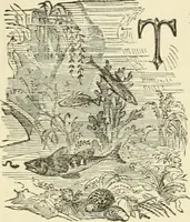 An illustration from Art recreations : being a complete guide to pencil drawing, oil painting ... moss work, papier mache...wax work, shell work...enamel painting, etc. (1871)