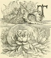 An illustration from Art recreations : being a complete guide to pencil drawing, oil painting ... moss work, papier mache...wax work, shell work...enamel painting, etc. (1871)