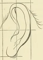An illustration from Art recreations : being a complete guide to pencil drawing, oil painting ... moss work, papier mache...wax work, shell work...enamel painting, etc. (1871)