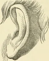 An illustration from Art recreations : being a complete guide to pencil drawing, oil painting ... moss work, papier mache...wax work, shell work...enamel painting, etc. (1871)