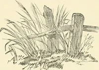 An illustration from Art recreations : being a complete guide to pencil drawing, oil painting ... moss work, papier mache...wax work, shell work...enamel painting, etc. (1871)