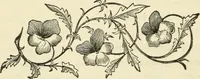 An illustration from Art recreations : being a complete guide to pencil drawing, oil painting ... moss work, papier mache...wax work, shell work...enamel painting, etc. (1871)