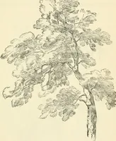 An illustration from Art recreations : being a complete guide to pencil drawing, oil painting ... moss work, papier mache...wax work, shell work...enamel painting, etc. (1871)