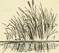 An illustration from Art recreations : being a complete guide to pencil drawing, oil painting ... moss work, papier mache...wax work, shell work...enamel painting, etc. (1871)