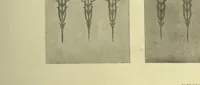 An illustration from Arts [and] crafts; a review of the work executed by students in the leading art school of Great Britain and Ireland (1916)
