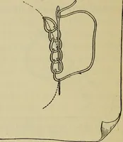 An illustration from Arts and crafts essays (1903)
