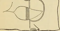 An illustration from Arts and crafts essays (1903)