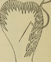 An illustration from Arts and crafts essays (1903)