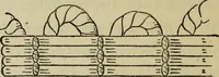An illustration from Arts and crafts essays (1903)