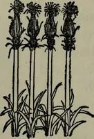 An illustration from The arts and crafts of ancient Egypt (1909)