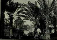 An illustration from The arts and crafts of ancient Egypt (1909)
