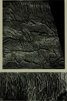 An illustration from The arts and crafts of ancient Egypt (1910)