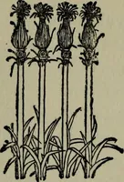 An illustration from The arts and crafts of ancient Egypt (1910)