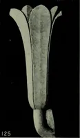 Picture 64 of 72 from The arts and crafts of ancient Egypt (1910), leaf 232
