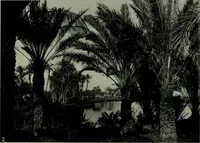 An illustration from The arts and crafts of ancient Egypt (1910)