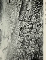 Picture 46 of 65 from The arts and crafts of older Spain (1907), leaf 310