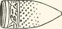 Picture 39 of 68 from The arts and crafts of older Spain (1907), leaf 265
