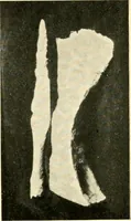 An illustration from The arts and crafts of our Teutonic forefathers (1910)