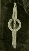 An illustration from The arts and crafts of our Teutonic forefathers (1910)