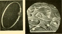 An illustration from The arts and crafts of our Teutonic forefathers (1910)