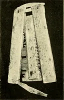 Picture 92 of 141 from The arts and crafts of our Teutonic forefathers (1910), leaf 215
