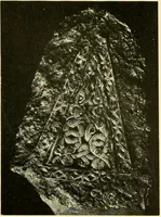 An illustration from The arts and crafts of our Teutonic forefathers (1910)