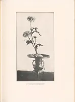 Picture 10 of 10 from Arts and crafts of old Japan (1906), leaf 223
