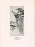 An illustration from Arts and crafts of old Japan (1906)