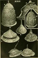 Picture 36 of 107 from The arts in early England (1903), leaf 289