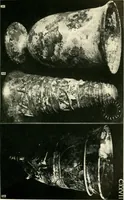 An illustration from The arts in early England (1903)