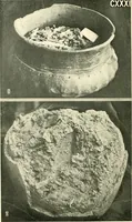 Picture 53 of 113 from The arts in early England (1903), leaf 237