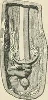 An illustration from The arts in the Middle Ages, and at the period of the Renaissance (1875)