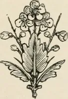 An illustration from The arts in the Middle Ages, and at the period of the Renaissance (1875)
