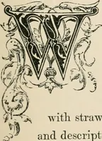 An illustration from The arts in the Middle Ages, and at the period of the Renaissance (1875)