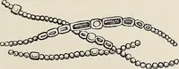 An illustration from Art-studies from nature, as applied to design : for the use of architects, designers, and manufacturers (1872)