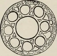 An illustration from Art-studies from nature, as applied to design : for the use of architects, designers, and manufacturers (1872)