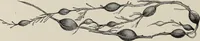 An illustration from Art-studies from nature, as applied to design : for the use of architects, designers, and manufacturers (1872)