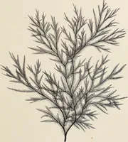 An illustration from Art-studies from nature, as applied to design : for the use of architects, designers, and manufacturers (1872)