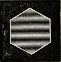 An illustration from Art-studies from nature, as applied to design : for the use of architects, designers, and manufacturers (1872)