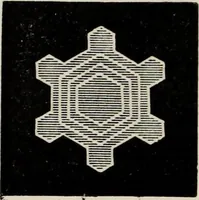 An illustration from Art-studies from nature, as applied to design : for the use of architects, designers, and manufacturers (1872)
