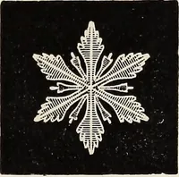 An illustration from Art-studies from nature, as applied to design : for the use of architects, designers, and manufacturers (1872)