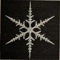 An illustration from Art-studies from nature, as applied to design : for the use of architects, designers, and manufacturers (1872)
