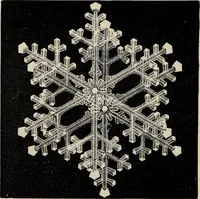 An illustration from Art-studies from nature, as applied to design : for the use of architects, designers, and manufacturers (1872)