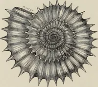 An illustration from Art-studies from nature, as applied to design : for the use of architects, designers, and manufacturers (1872)