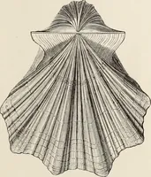 An illustration from Art-studies from nature, as applied to design : for the use of architects, designers, and manufacturers (1872)