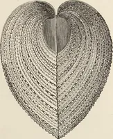 An illustration from Art-studies from nature, as applied to design : for the use of architects, designers, and manufacturers (1872)