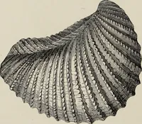 An illustration from Art-studies from nature, as applied to design : for the use of architects, designers, and manufacturers (1872)