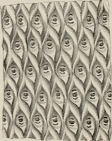 An illustration from Art-studies from nature, as applied to design : for the use of architects, designers, and manufacturers (1872)