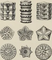An illustration from Art-studies from nature, as applied to design : for the use of architects, designers, and manufacturers (1872)